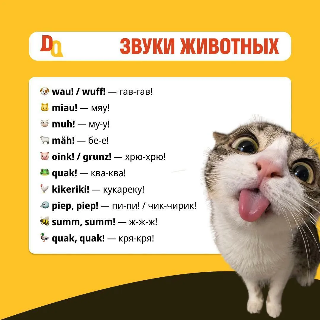 🐾 ЗВУКИ ЖИВОТНЫХ