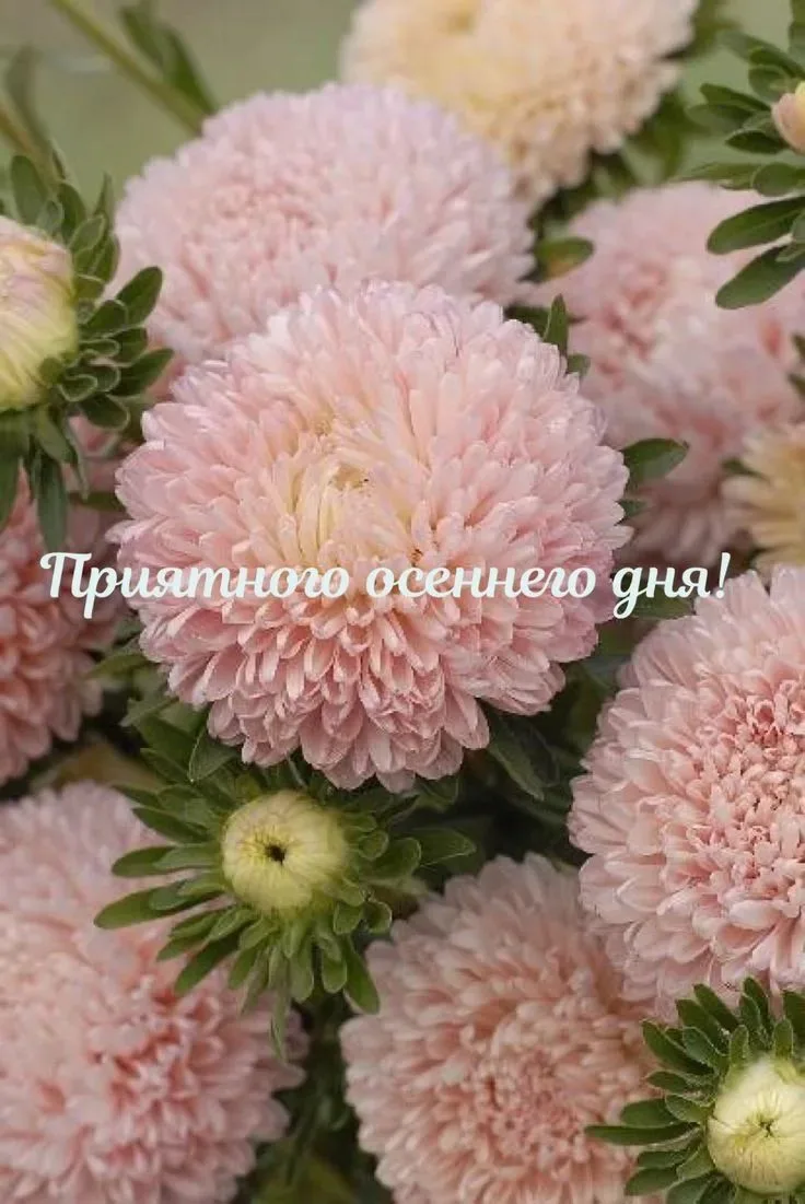 Доброе утро, друзья!