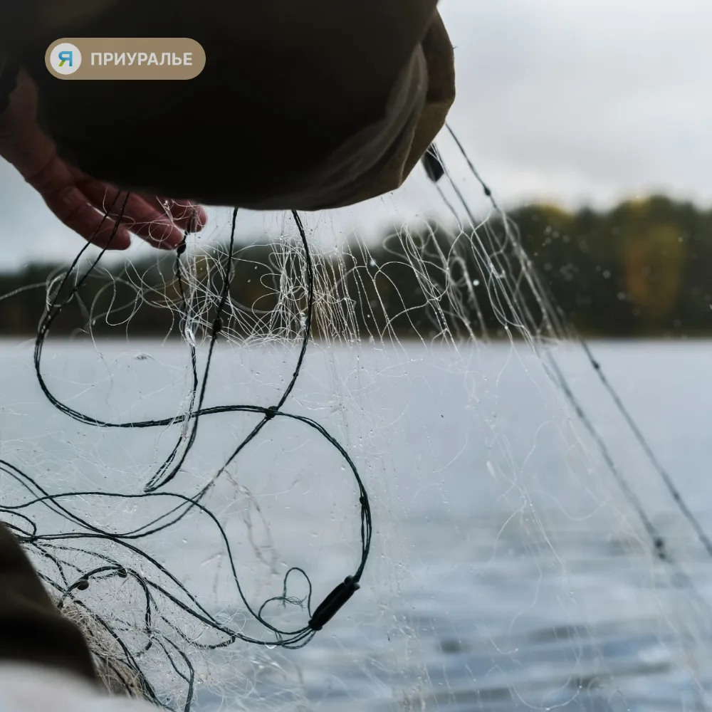 🐟На Ямале браконьера оштрафовали на 40 тысяч рублей за вылов трех муксунов