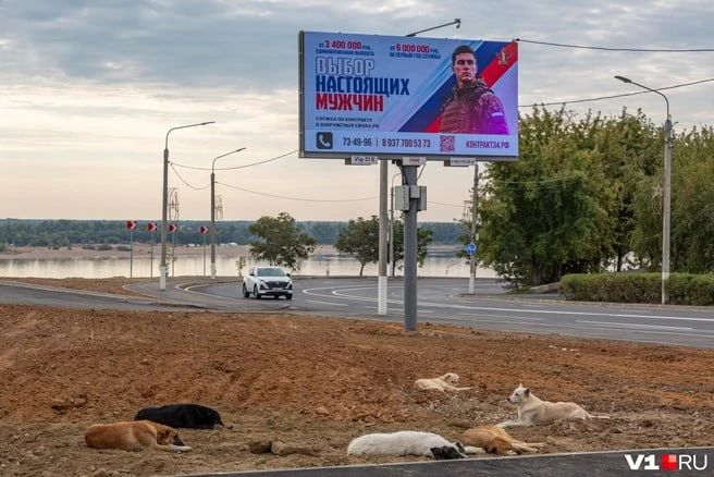 МБУ «Волгоградзеленхоз» ищет подрядчика, который бы освоил 8 миллионов 722 тысячи 761 р...