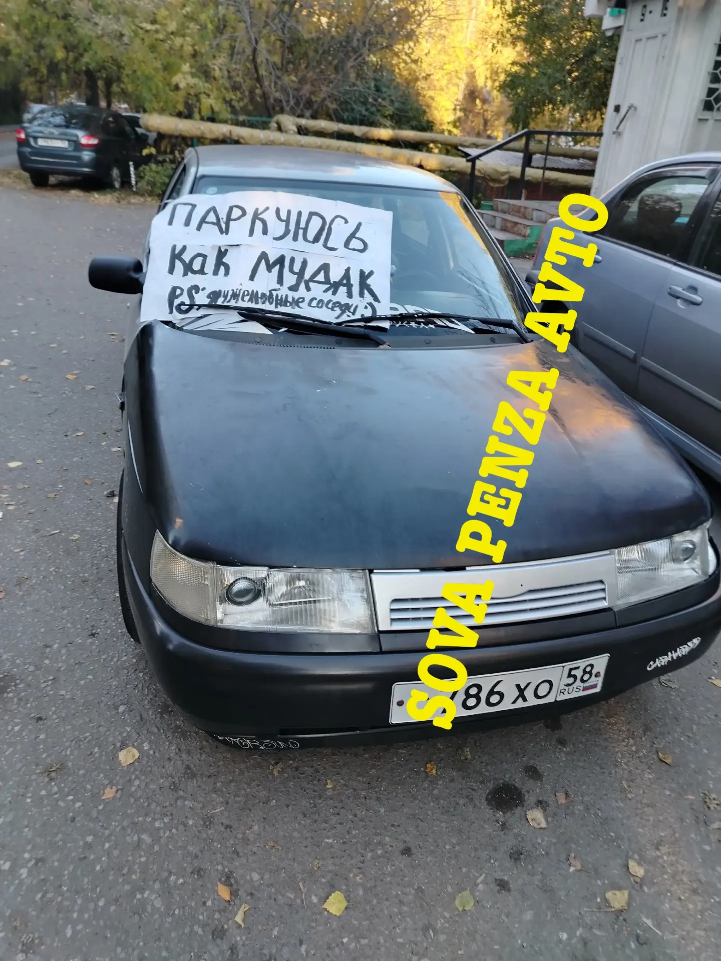 Дружелюбные соседи😳