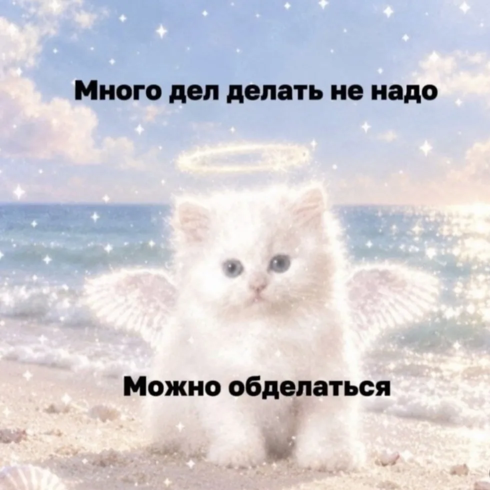 Бабоньки, мудрость дня вам к обеденному перерыву ⬆️