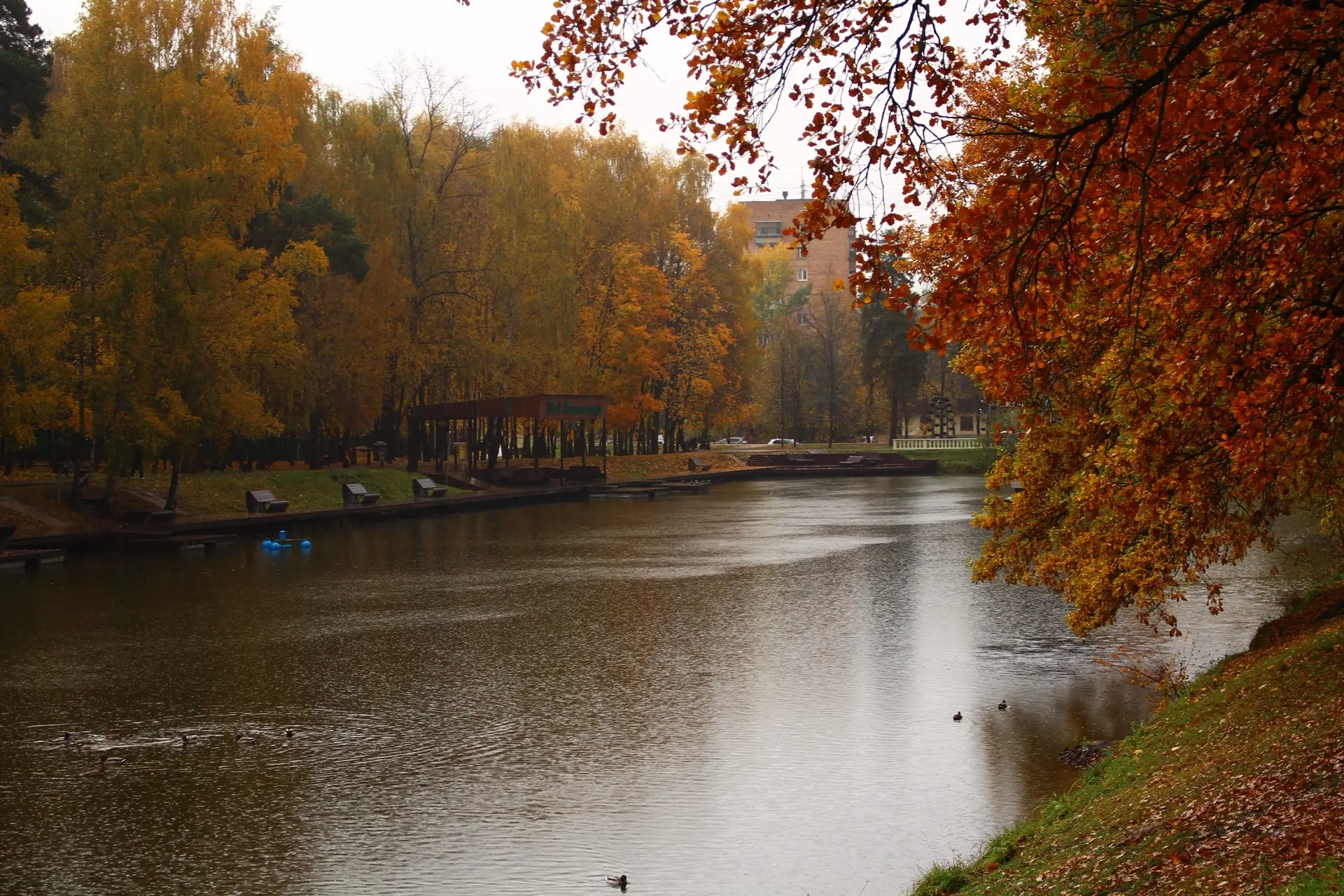 Доброе утро!🌷