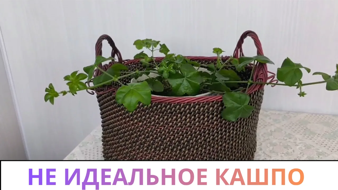 в стиле корневого плетения / УЧИМСЯ ВМЕСТЕ