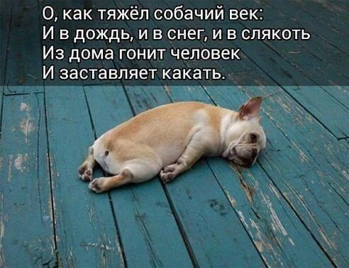 #ЮМОР