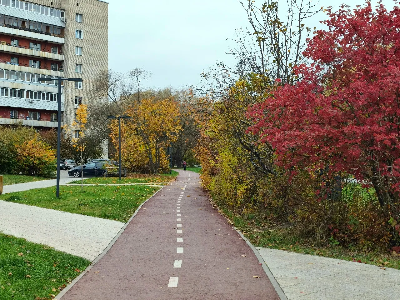 Лесной бульвар 🍂