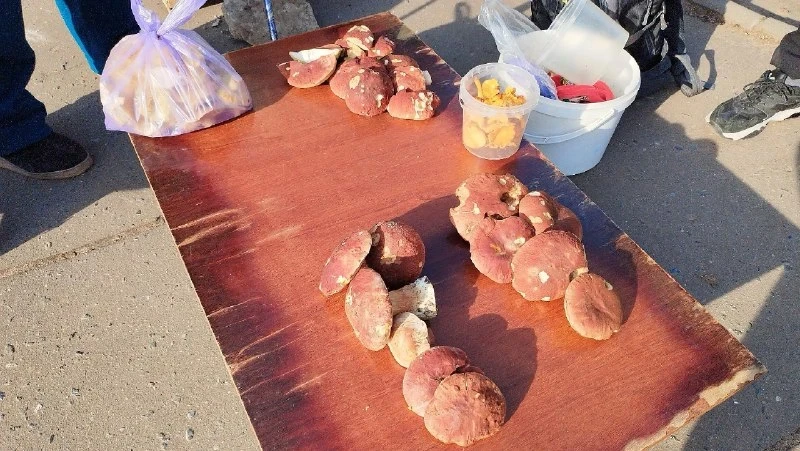 🍄 На рынках Йошкар-Олы бойко торгуют грибами