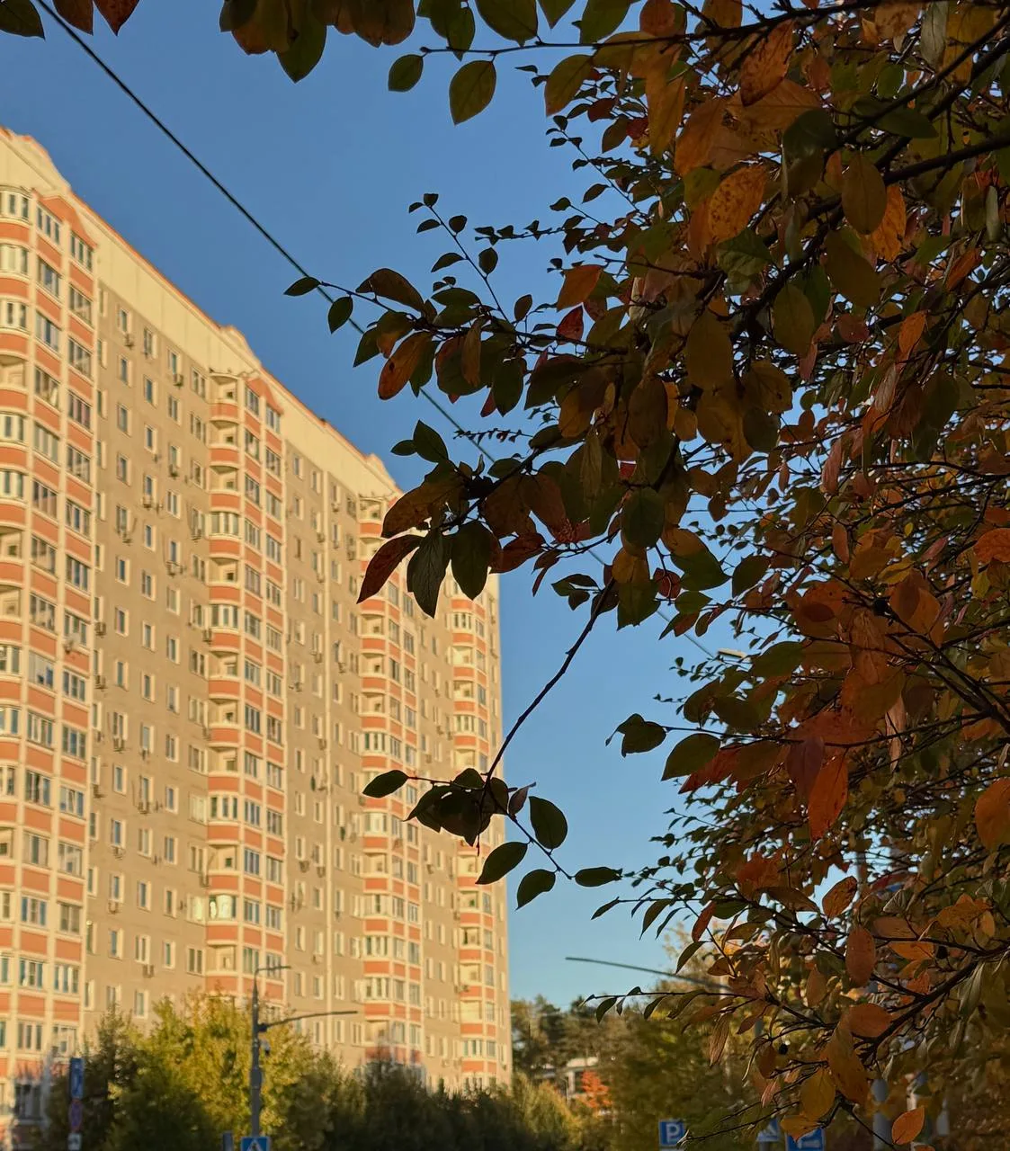Нашему району очень идет осень 🍂