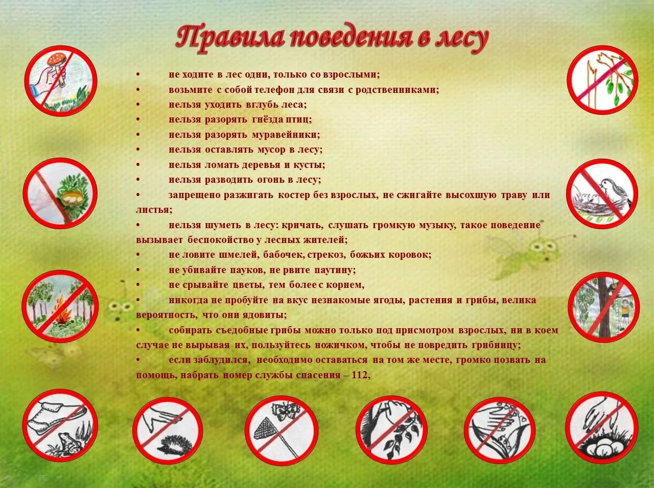 Лес как храм: этика и безопасность при общении с природой🌿