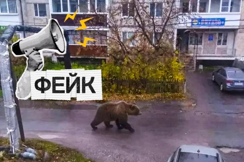🐻 Медведь из нейросети: в Бутке — извинения, в Магдагачах — штраф 15 тысяч