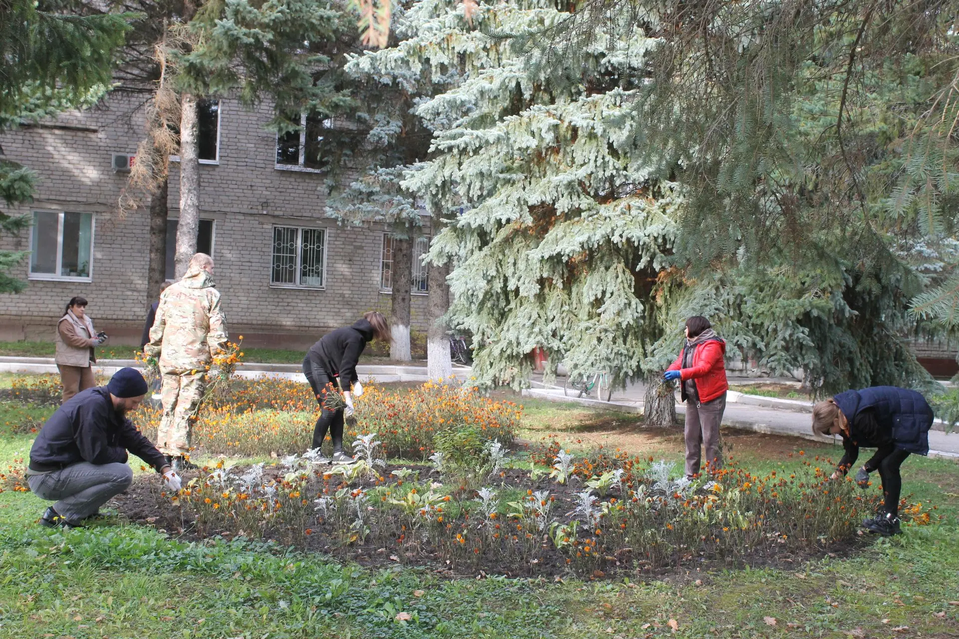 🍁Сегодня сотрудники отделов администрации дружно вышли на уборку прилегающей территори...