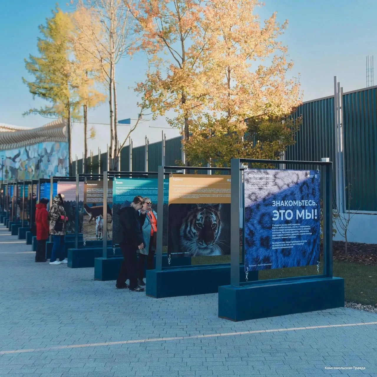 🐻 Возле Пермского зоопарка появилась бесплатная фотовыставка