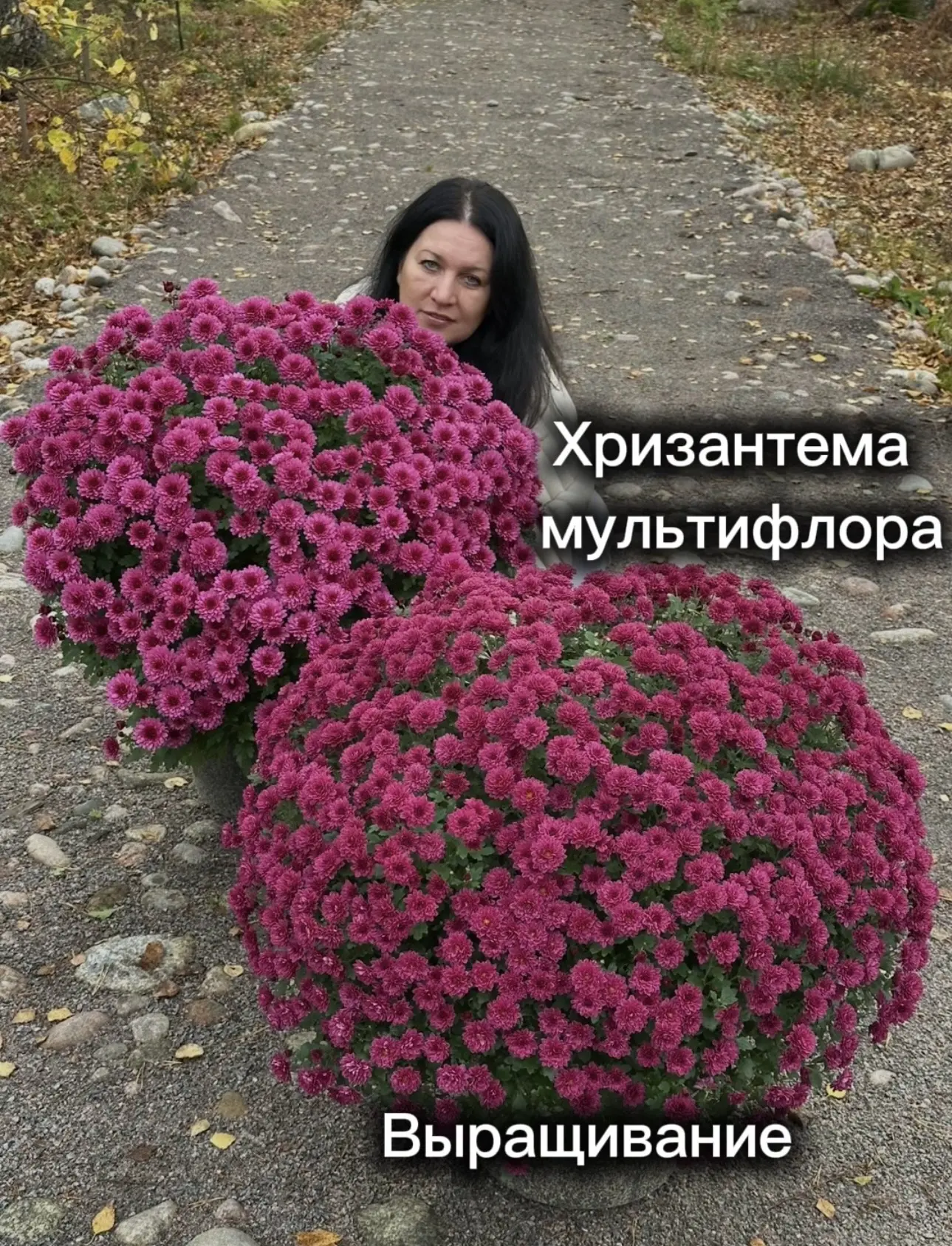 За последние два дня от вас, дорогие друзья, поступило миллион вопросов по поводу выращ...