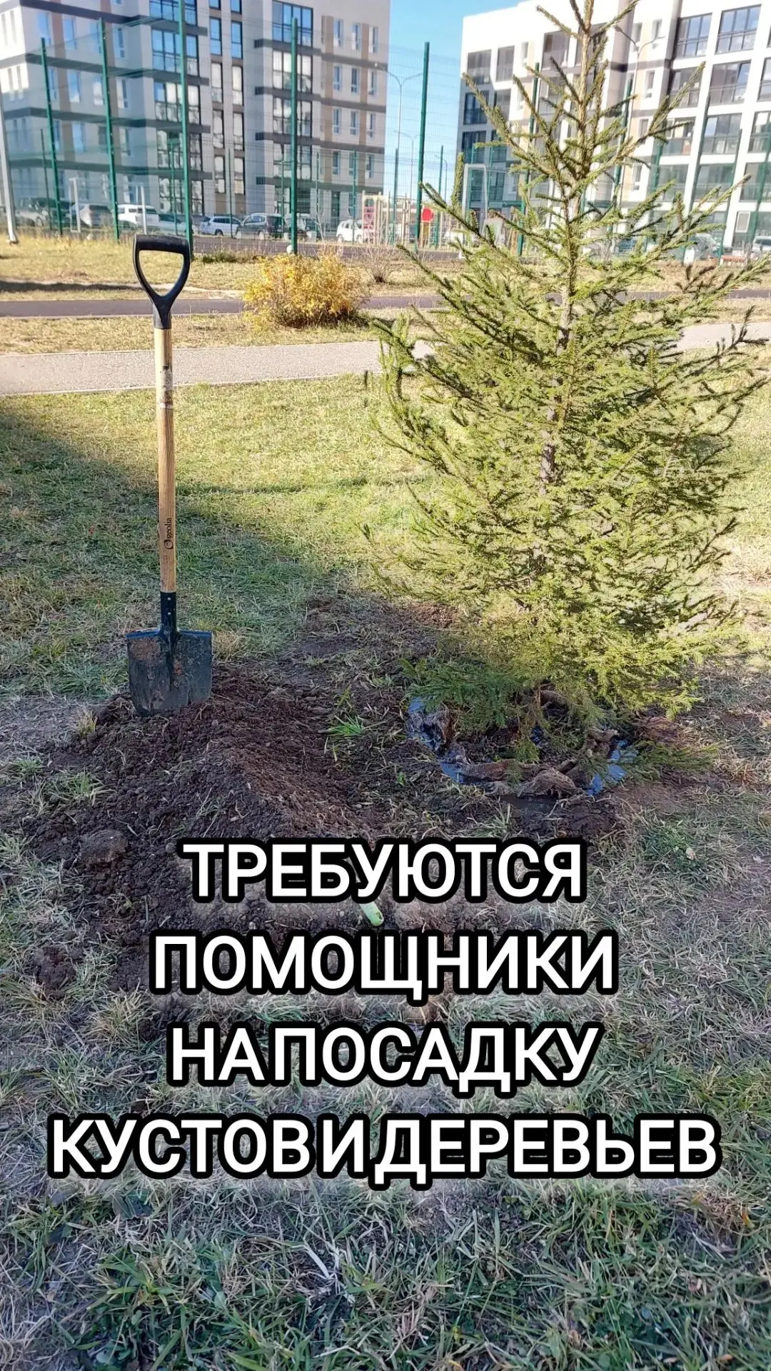 СРОЧНО! Набор помощников на озеленение в г. Свободный (мкр. Алексеевский)