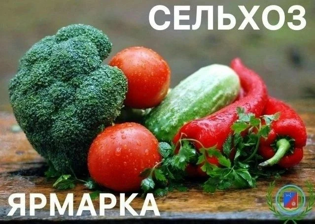 🍁 ОСЕННЯЯ Ярмарка в Калининском районе Уфы