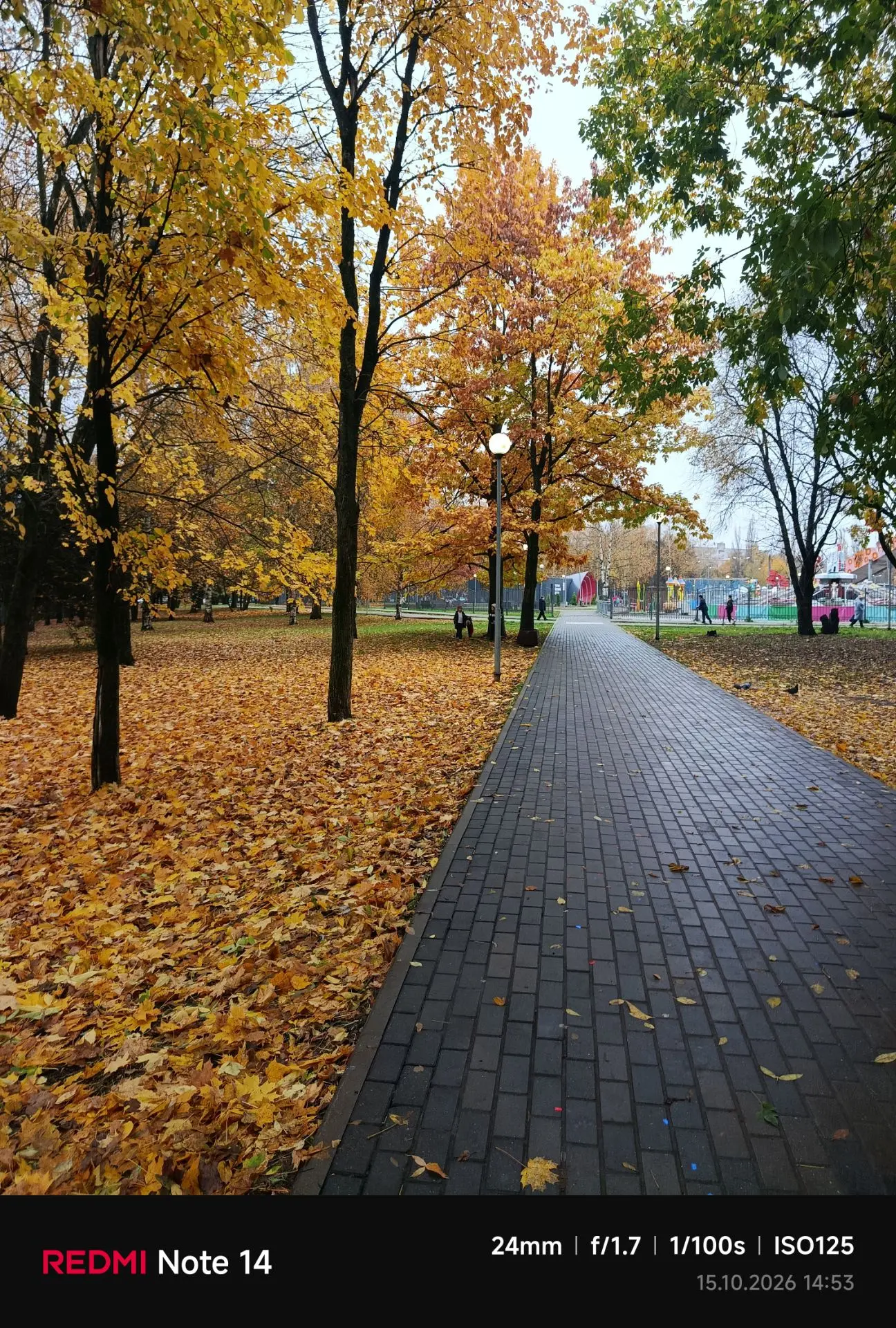 Красота