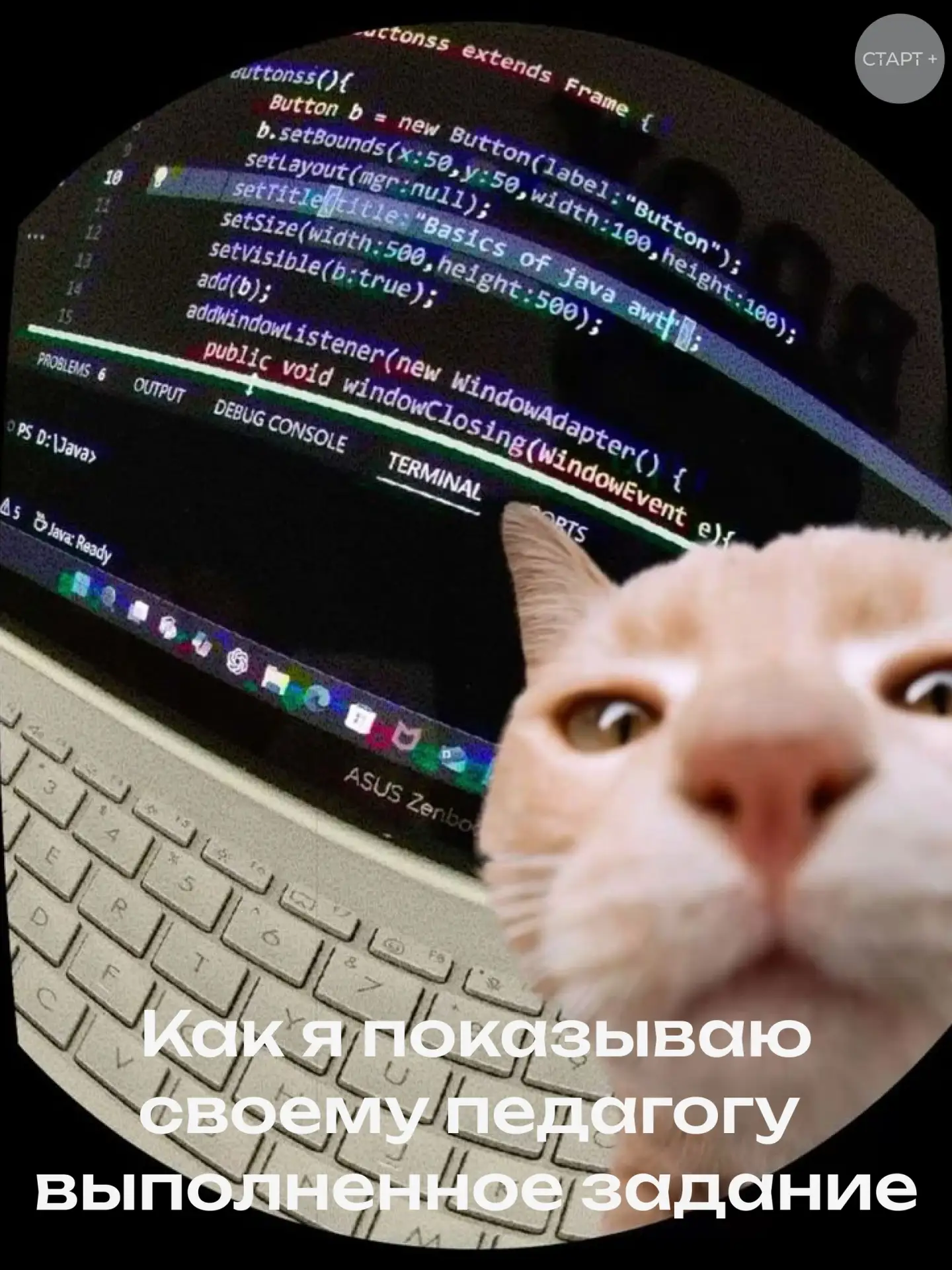 🔥 В «Старт+» проходит обучение учащихся 10-11 классов. У ребят появилась уникальная во...