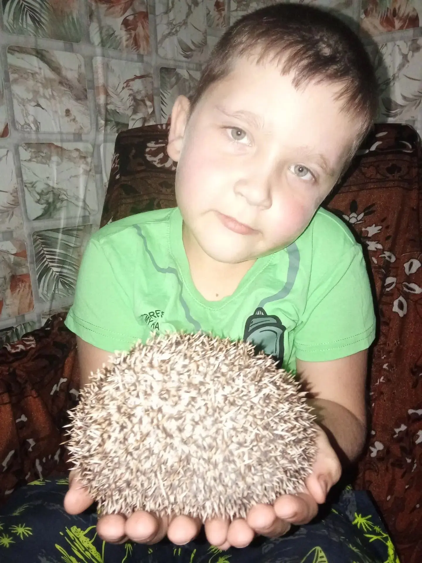 🦔✨ Привет! Меня зовут Андрей, я ученик 1 «А» класса! 👋😄