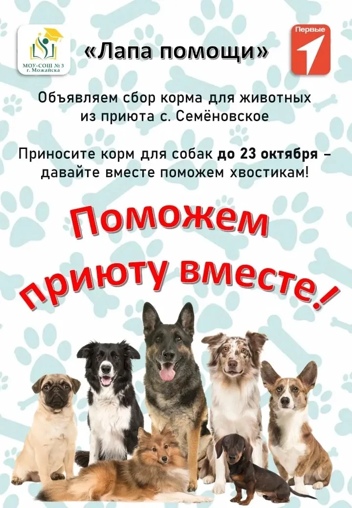 🐾🐕 Протяни лапу помощи: открываем сбор корма для приюта бездомных собак! 🦴❤️