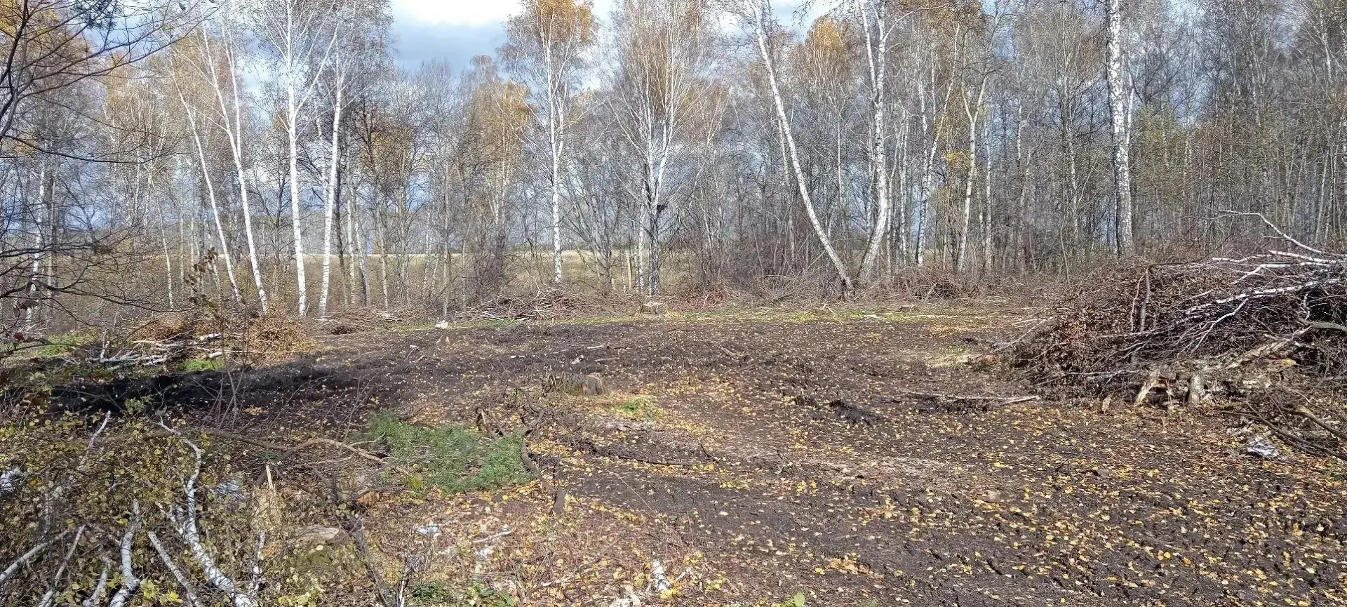 В Крапивинском лесничестве идет работа, которая наглядно демонстрирует, как государстве...