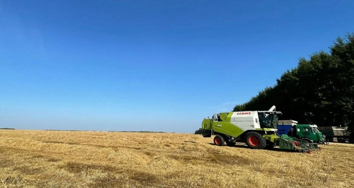 Уборка зерновых в районе завершается