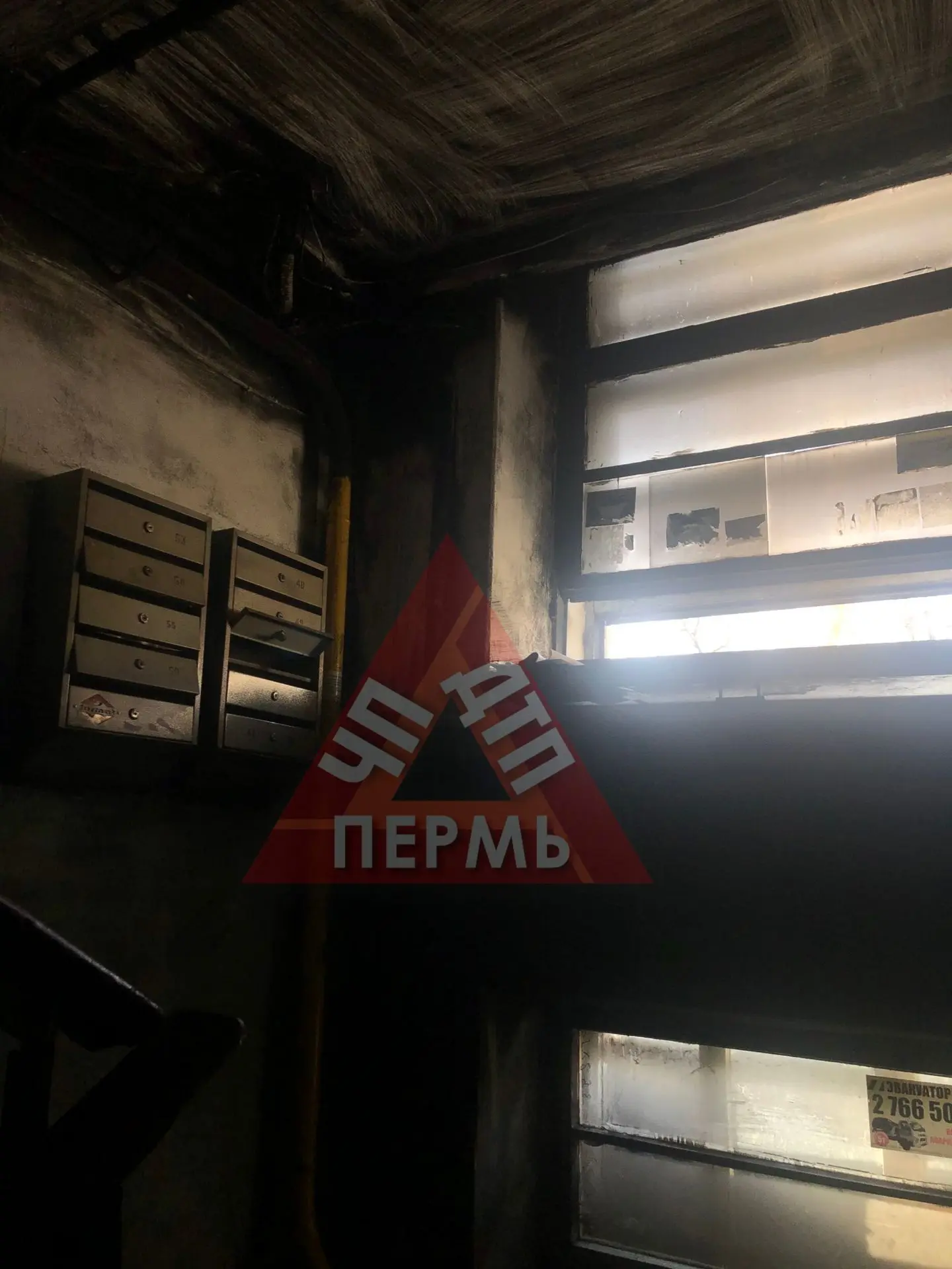 От подписчиков