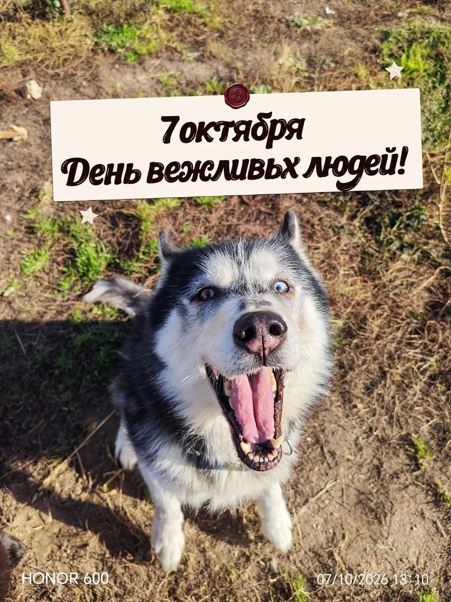 Сегодня День вежливых людей. 🥰