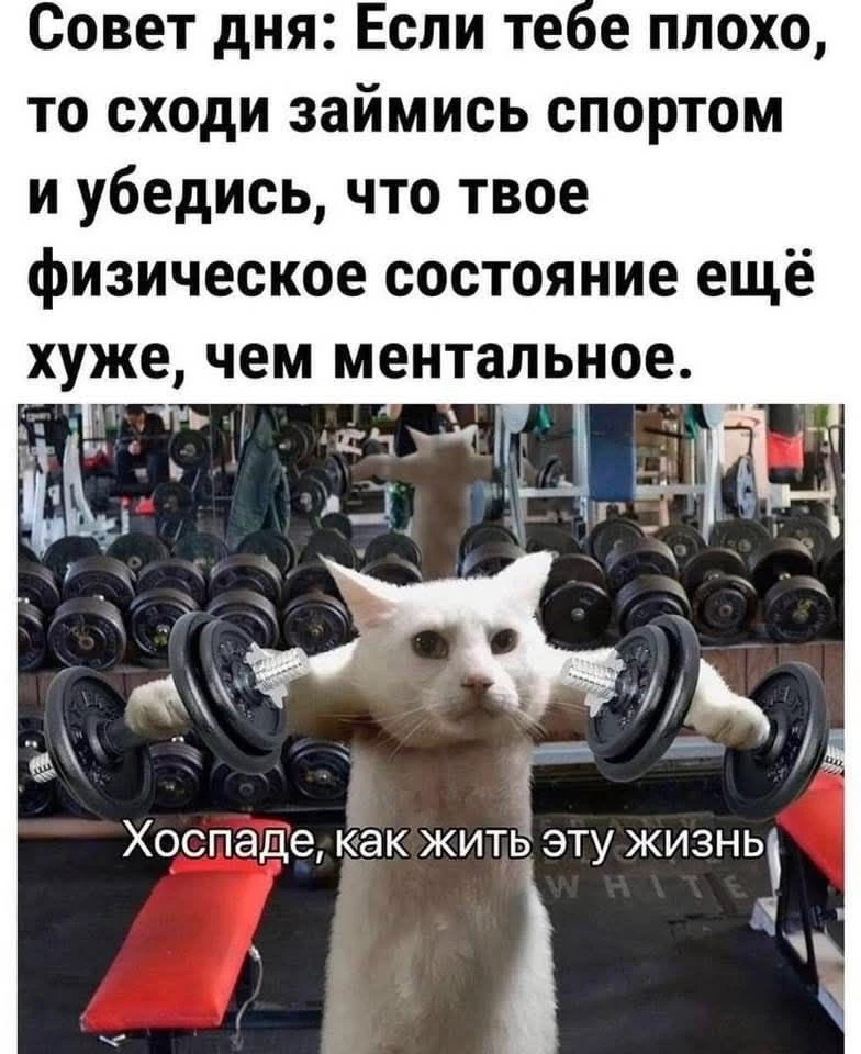 😂