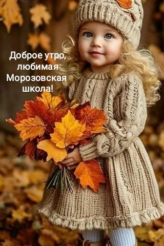 🔆 С добрым утром, уважаемые подписчики и гости канала МБОУ МОРОЗОВСКАЯ ООШ!