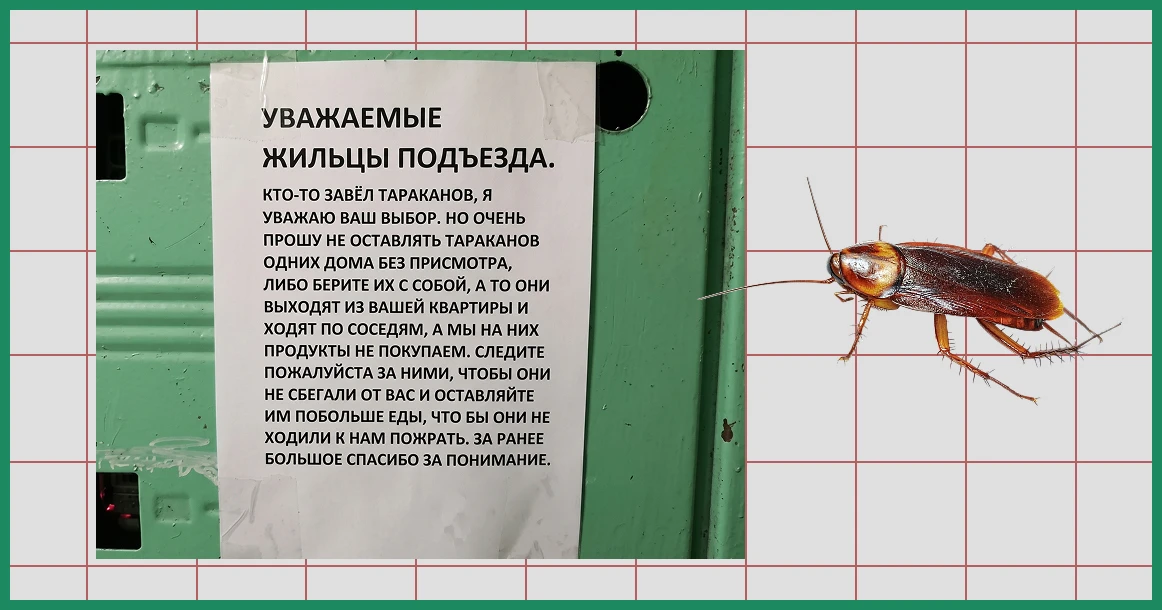 В Сокольниках жильцы просят соседей лучше кормить тараканов, чтобы те не бегали к ним з...