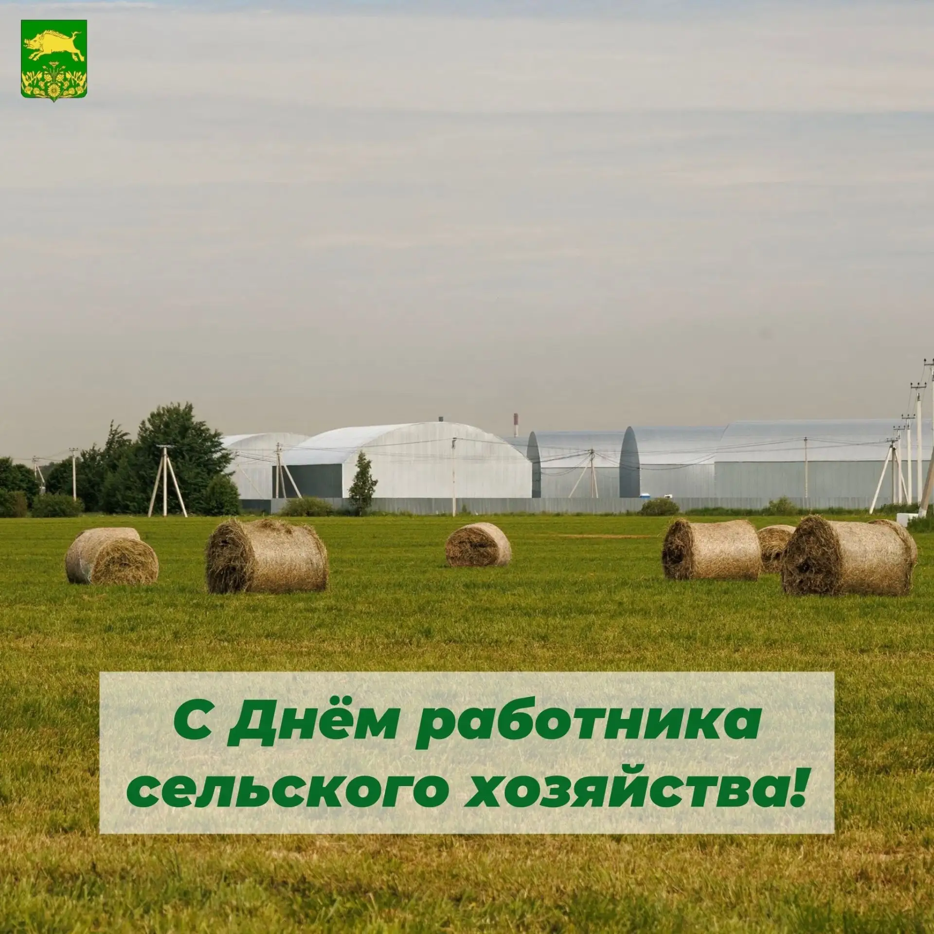 🌾 Поздравляю с Днём работника сельского хозяйства и перерабатывающей промышленности.