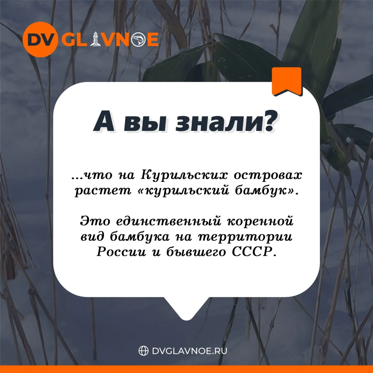 А Вы знали? 🤓