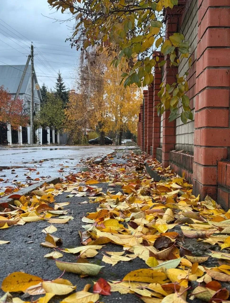 🌧️ Доброе утро, ливенцы! С четвергом! 🍂