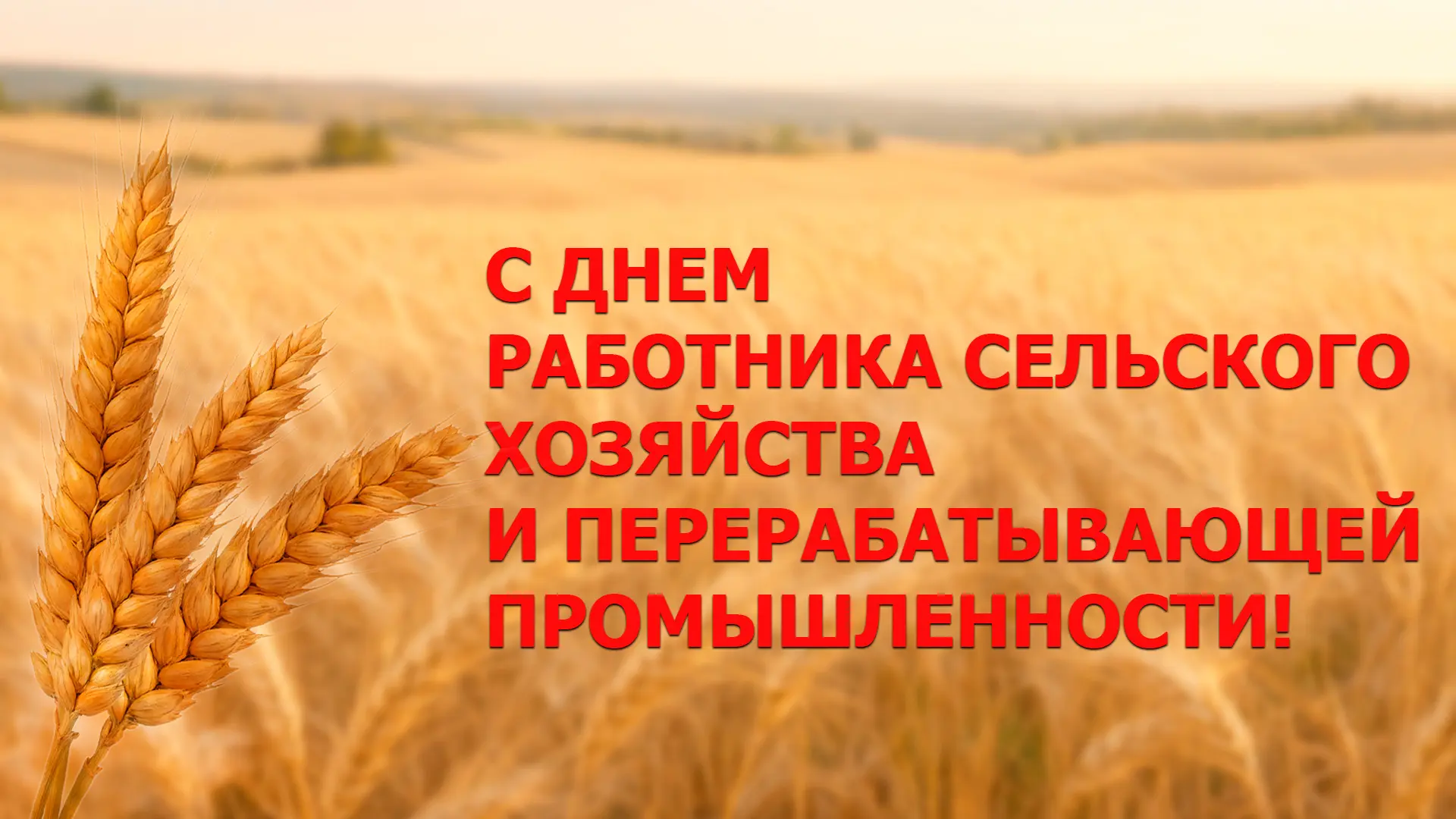 🌾 Поздравление председателя Волгоградской областной Думы Александра Блошкина с Днем ра...