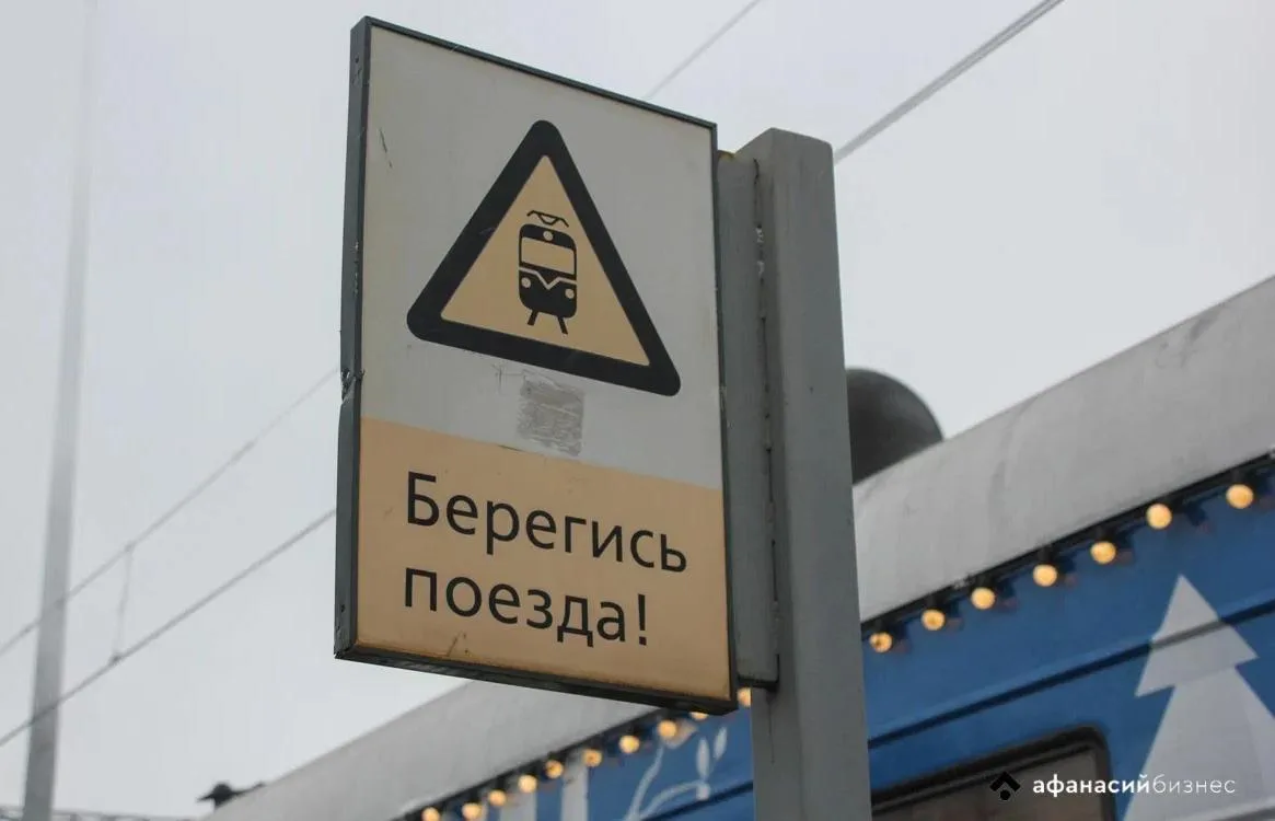В Тверской области пассажирский поезд сбил лося