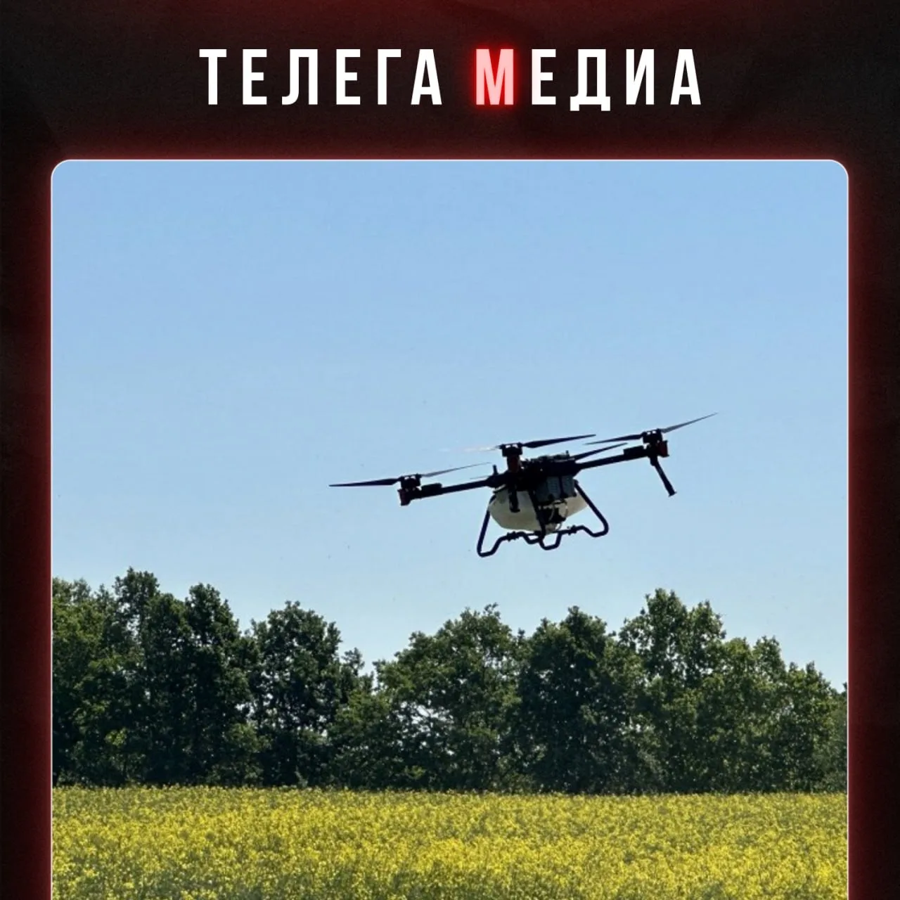 «Зубастый» урожай