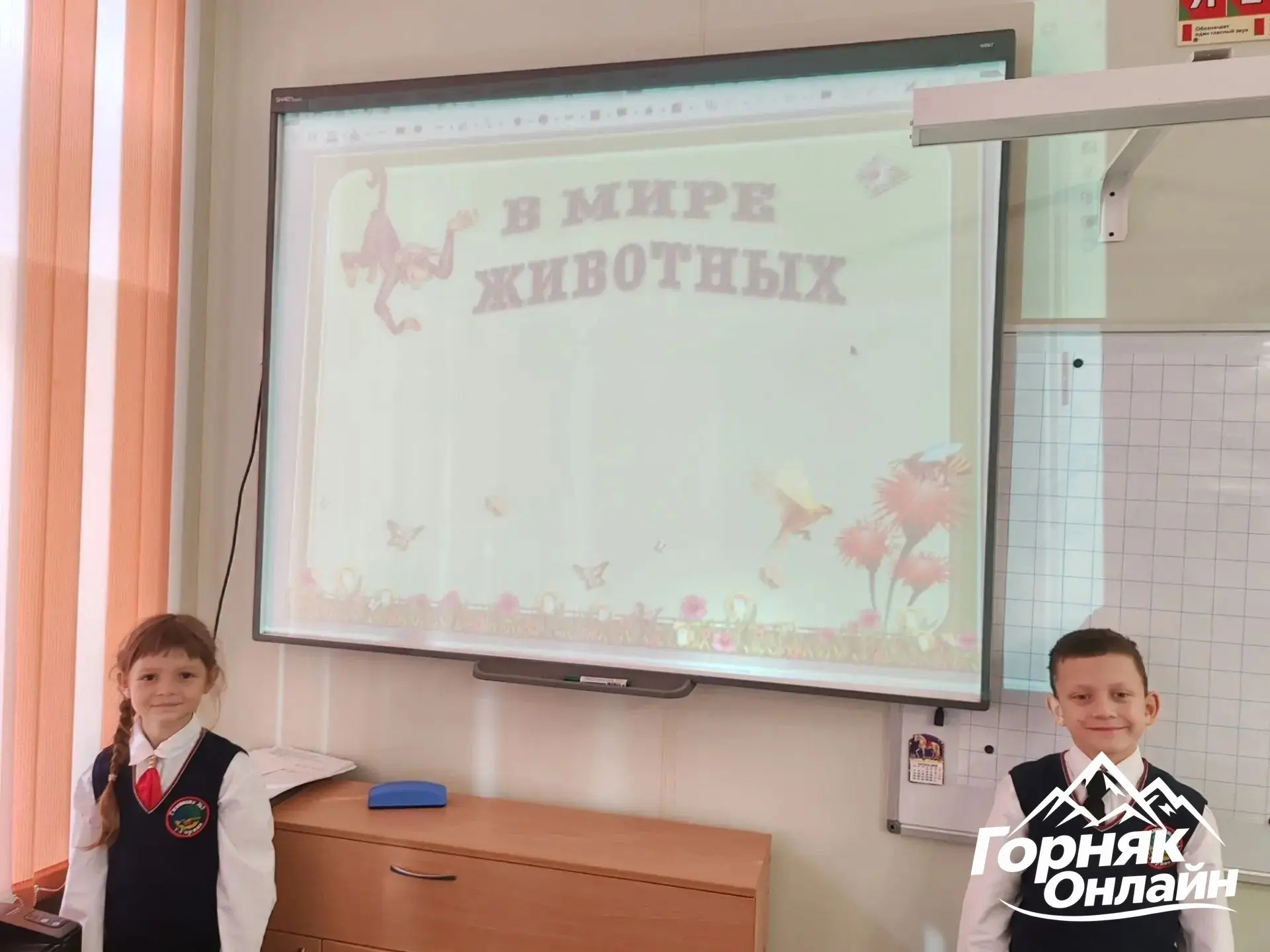 Путешествие по миру животных