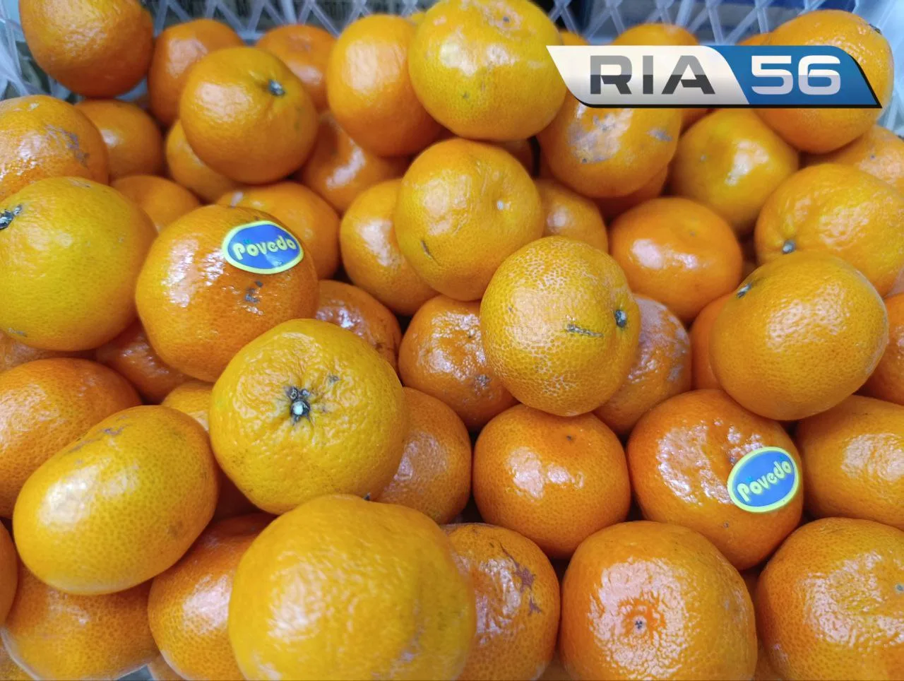 🍊Мандарины в Оренбурге: выбор и польза
