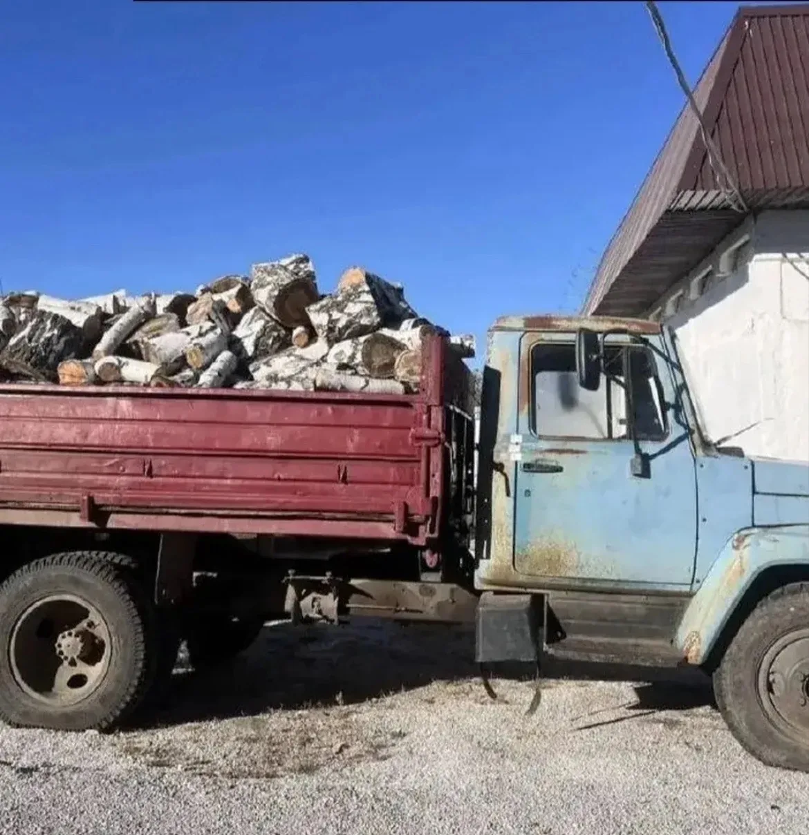 🚛 У жителя Челябинской области отобрали грузовик и пилу за вырубку берёз