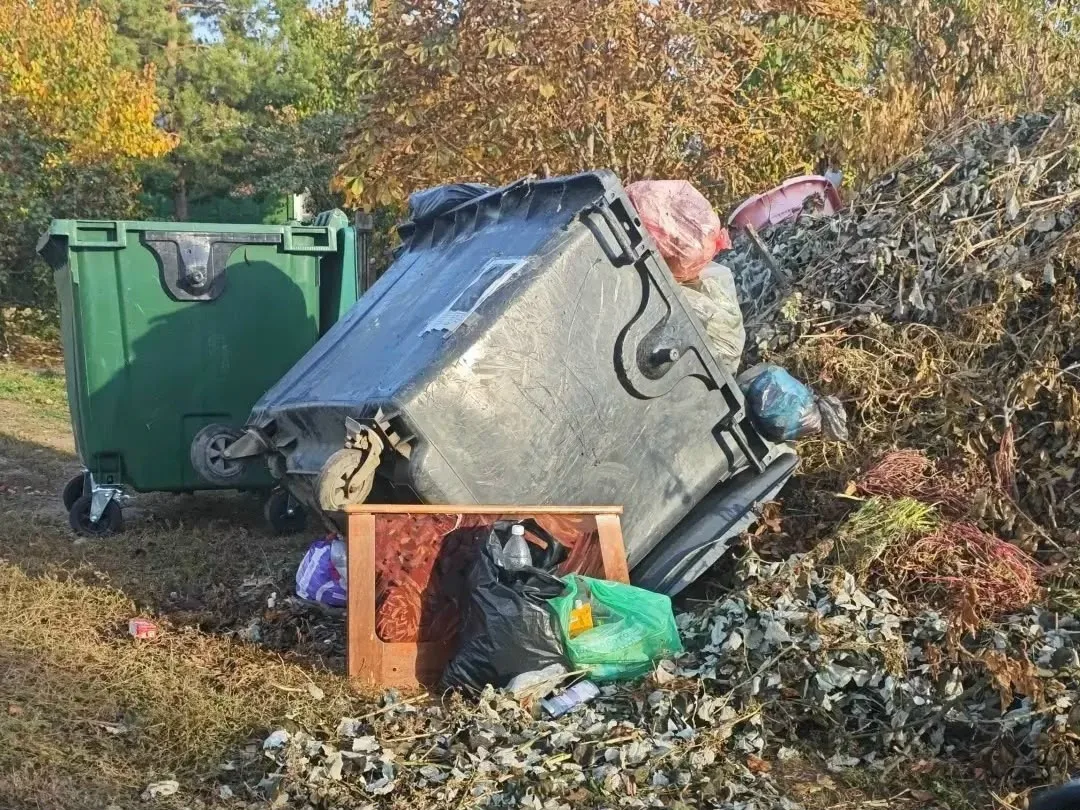 🗑 «Контейнер сломали сами, а вывозить отказываются»: мусорный коллапс на пересечении у...