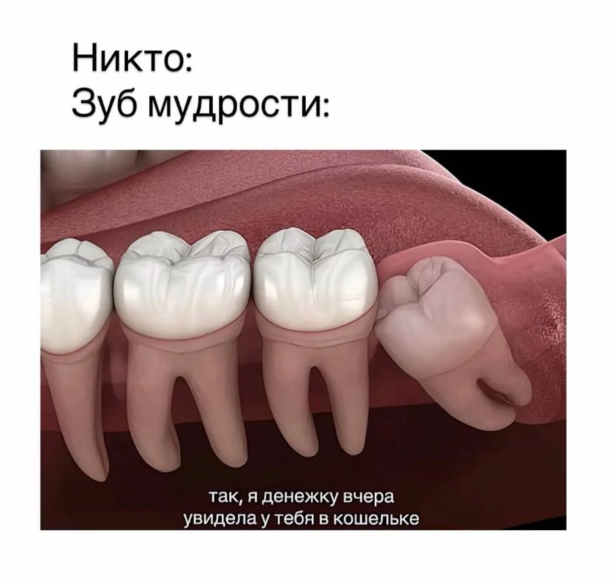 Мем дня