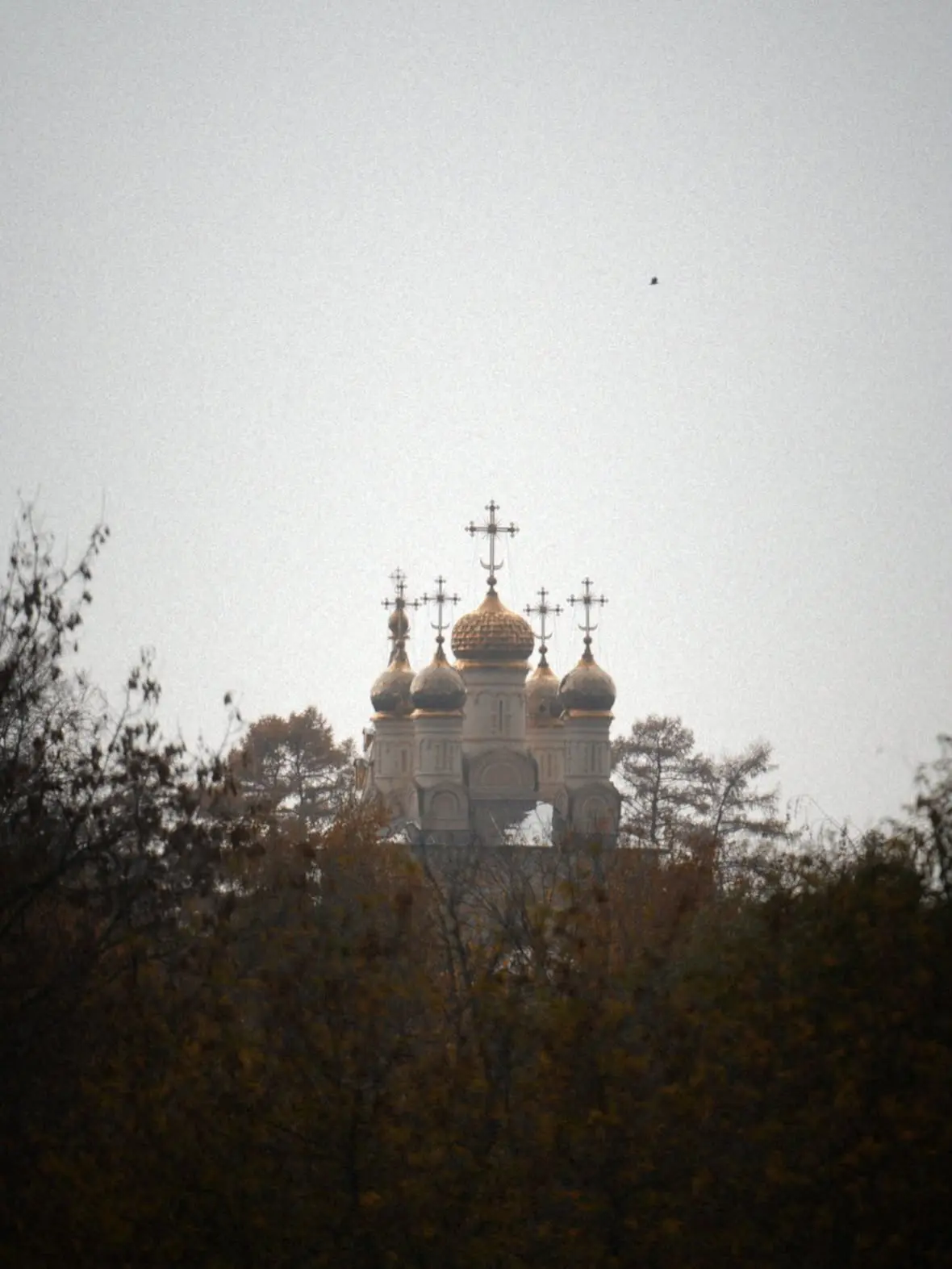 Осеннее 🍁