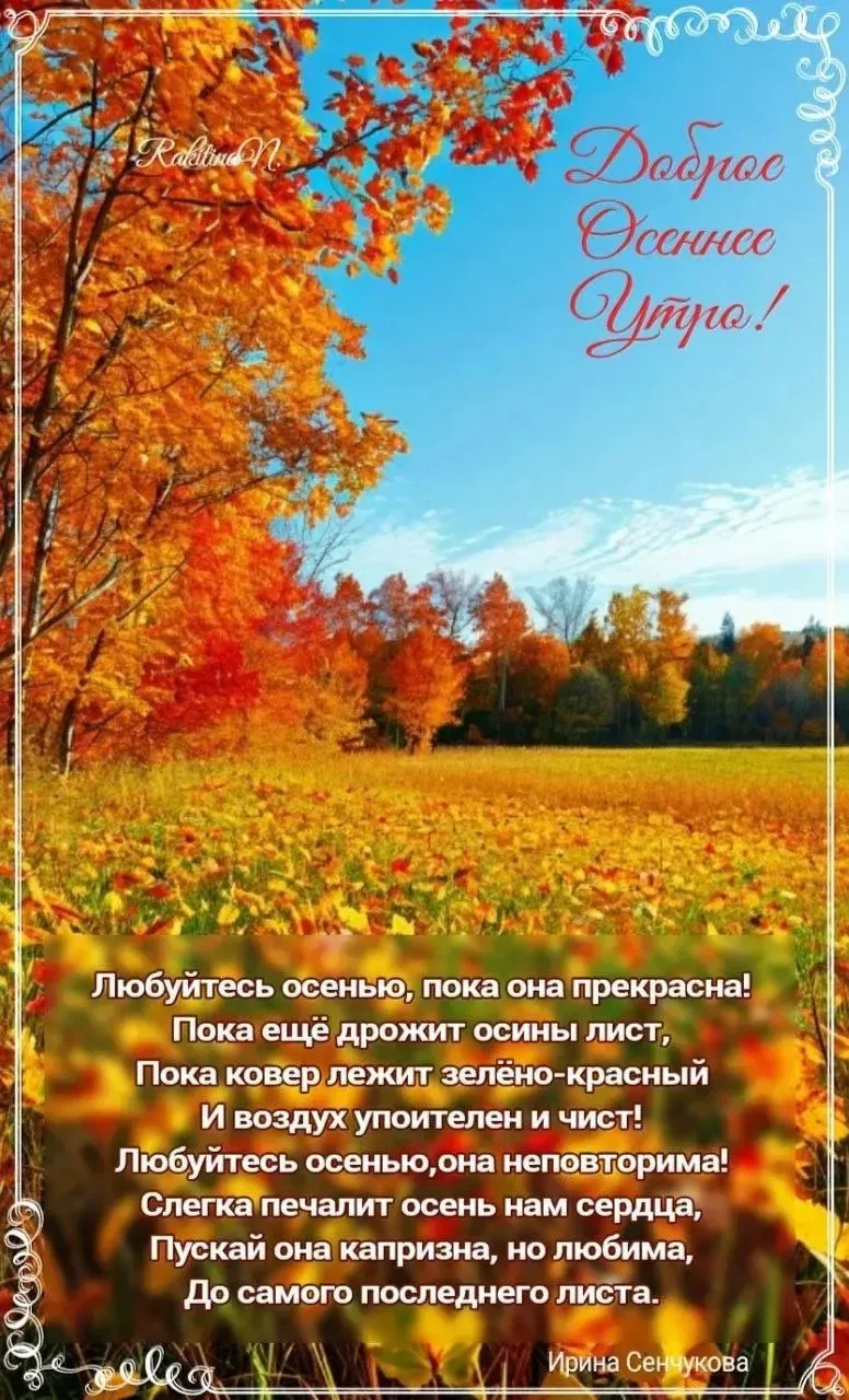 Подписывайся на нас!