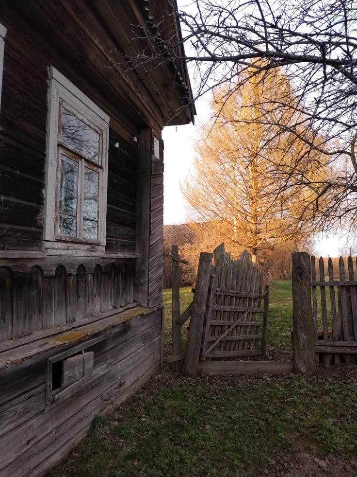 Хорошего дня 🍁