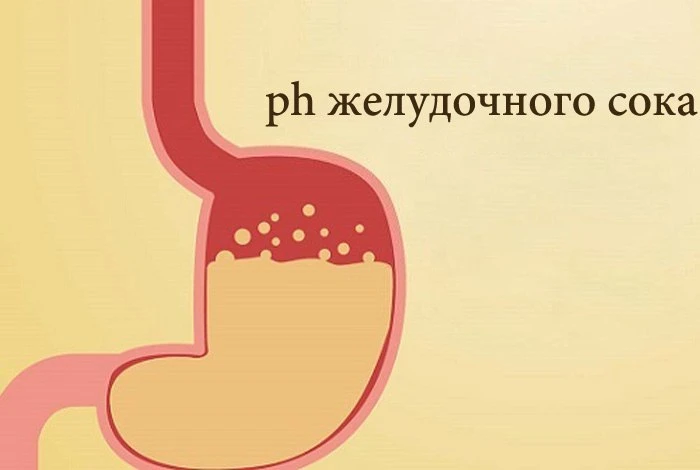 Важными условиями нормализации кислотности является частое (дробное) питание, включающе...