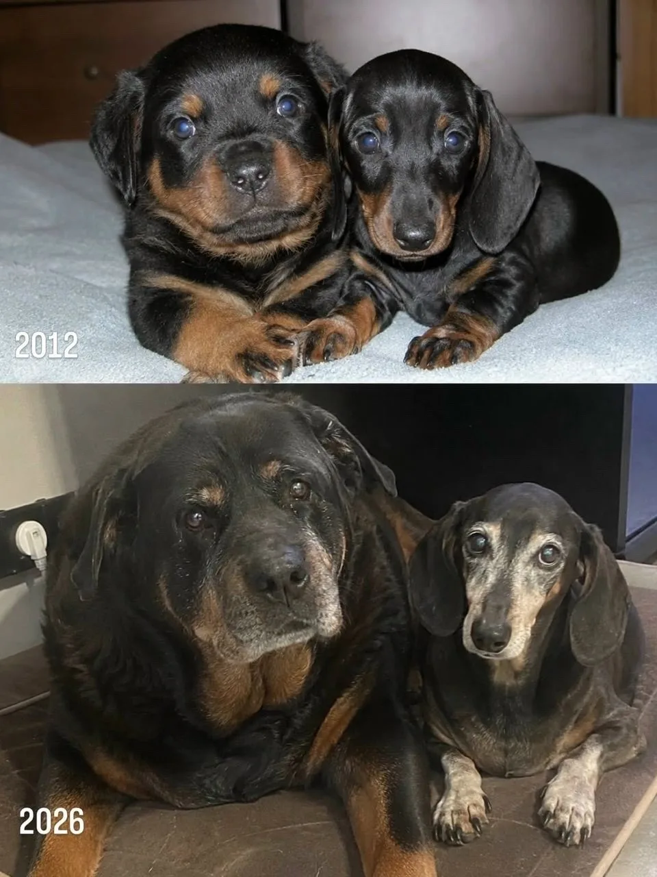 14 лет между этими фотографиями.
