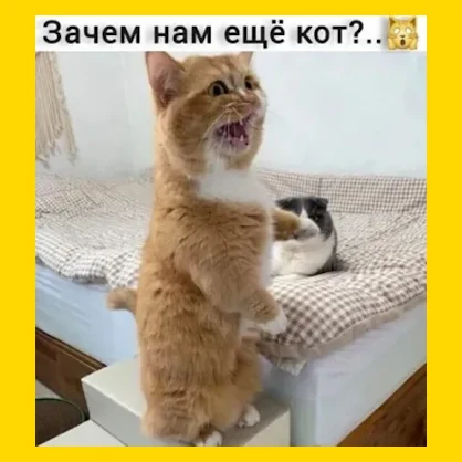 Полный Хохотамбл! Подпишись скорее