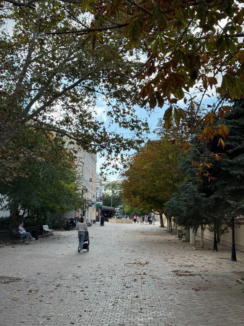 Осень в любимом городе 🍂