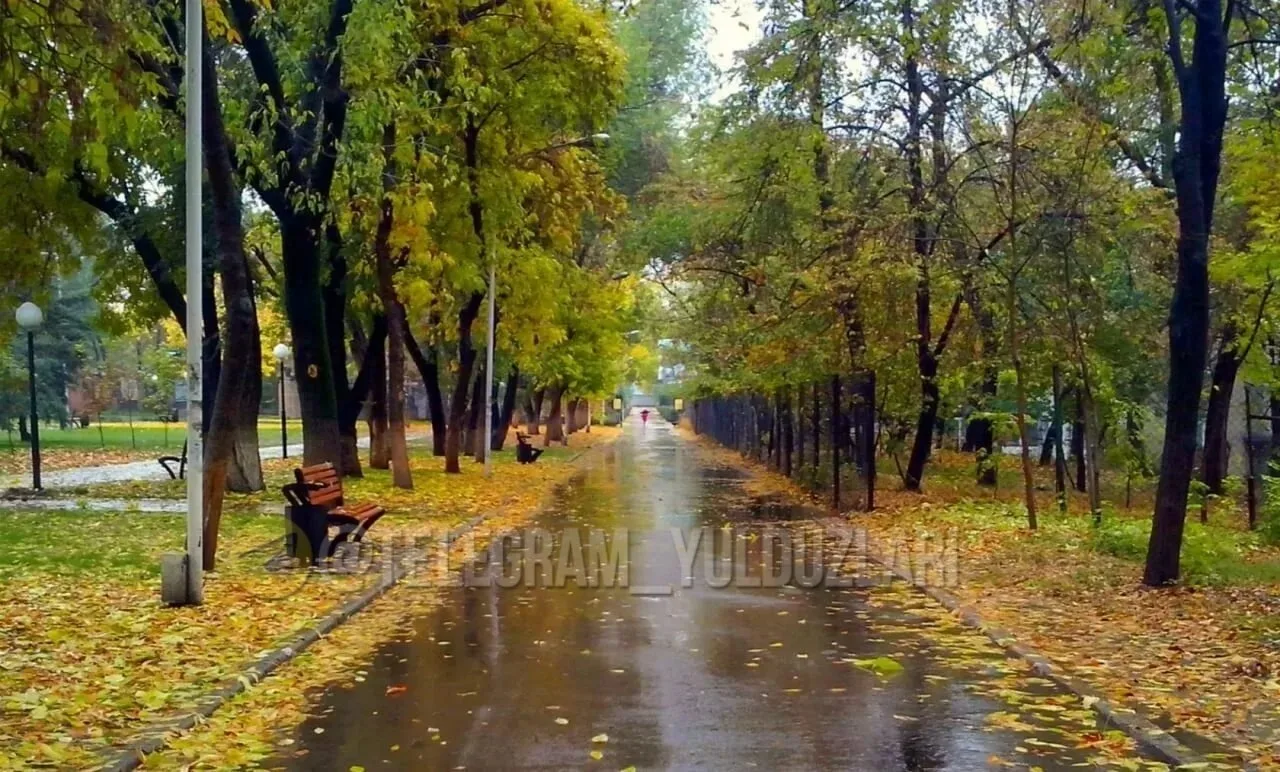 #ТЕЗКОР