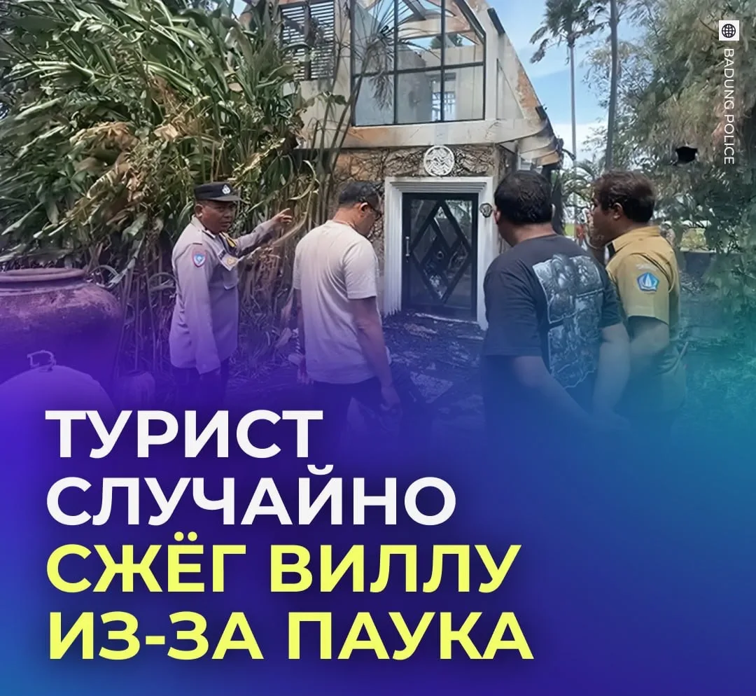 🕷 Турист попытался прогнать паука с виллы и случайно её сжёг.